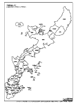 合併以前の沖縄本島の白地図1
